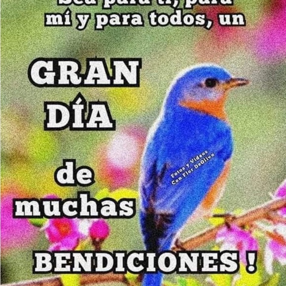 ezamudio711